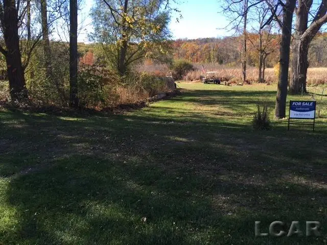 lots 31 & 43 N Canal St, Onsted, MI 49265 - Image #3