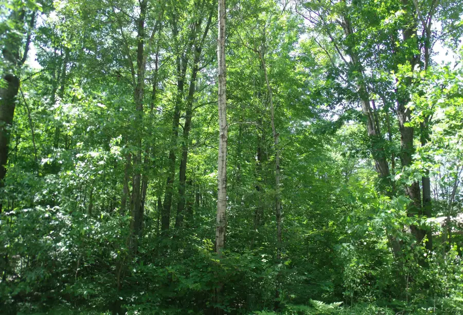 0 Butterfield, Houghton Lake, MI 48629 - Image #2