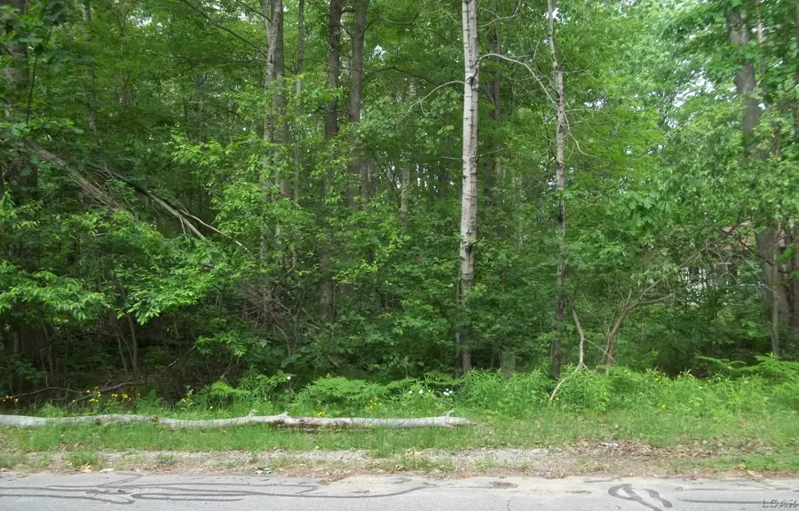 0 Butterfield, Houghton Lake, MI 48629 - Image #3