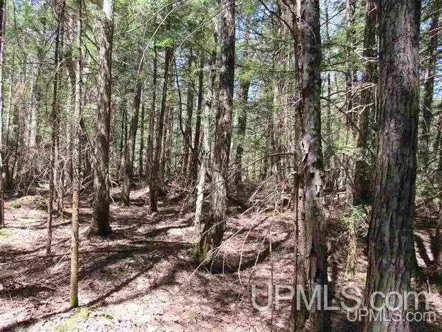 TBD Off Klingville, Chassell, MI 49916 - Image #2