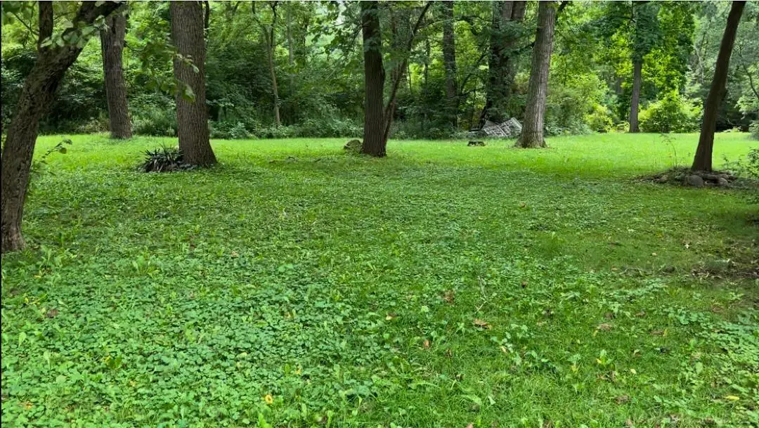 0 Woodland, East China, MI 48054 - Image #1