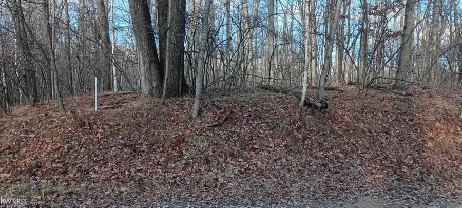 1782 Hemlock, Farwell, MI 48622 - Image #2