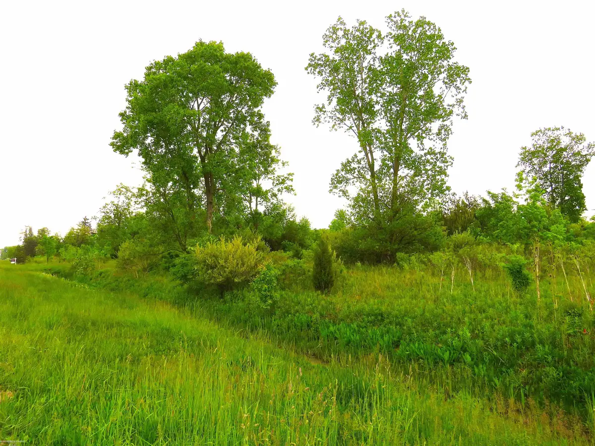 65002 Gratiot, New Haven, MI 48050 - #1