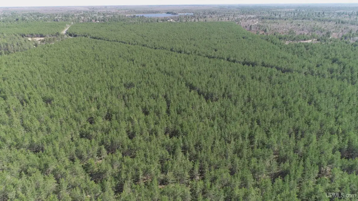 Parcel 5 Rice Lake, Gwinn, MI 49841 - Image #1