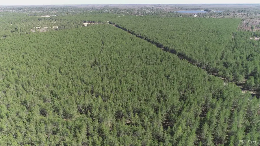 Parcel 5 Rice Lake, Gwinn, MI 49841 - Image #2