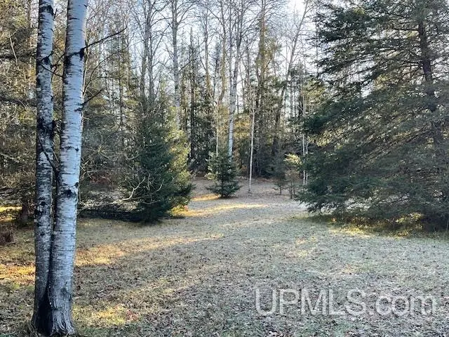 11810 E Howen, Fence, WI 54542 - Image #1