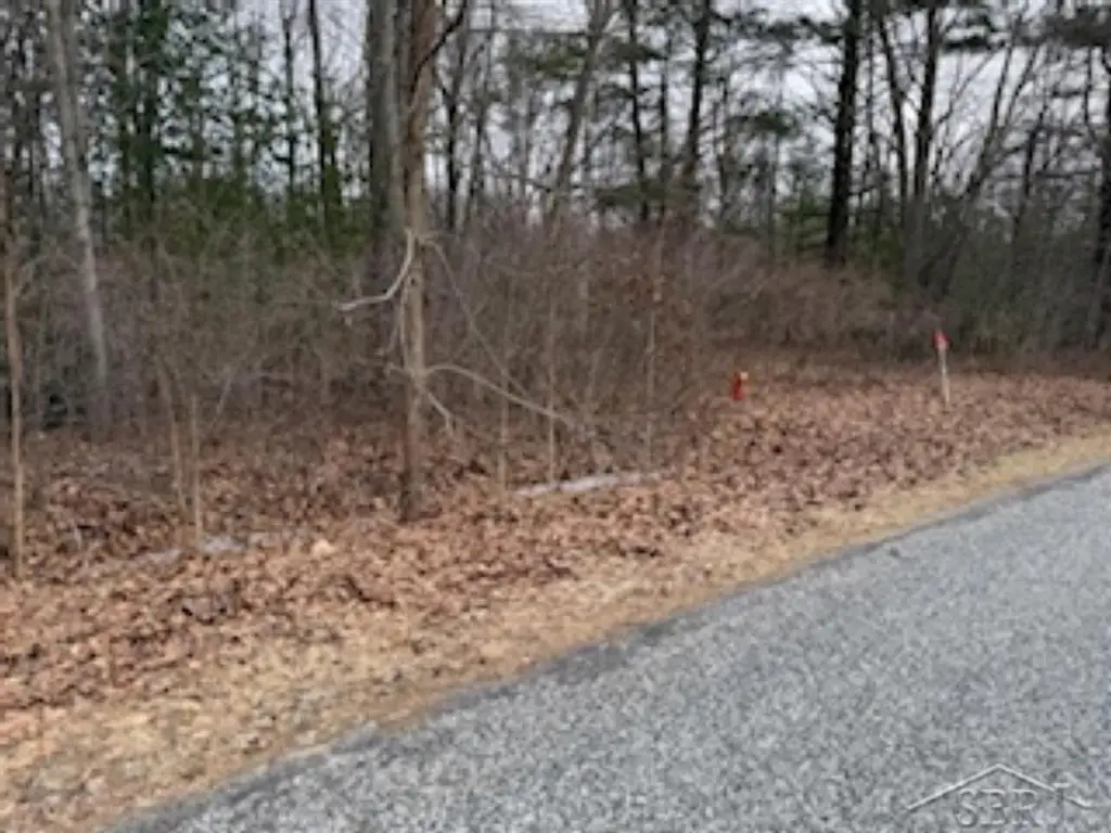 VL N Anna, Sanford, MI 48657 - Image #1