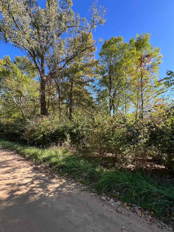 207 Ambler, Brooklyn, MI 49230