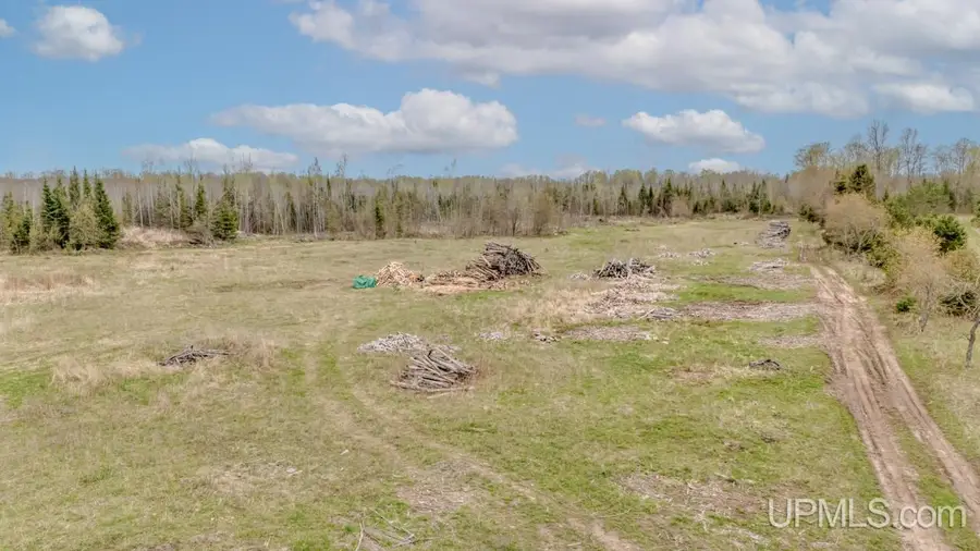 TBD June, Mathias, MI 49878 - Image #3