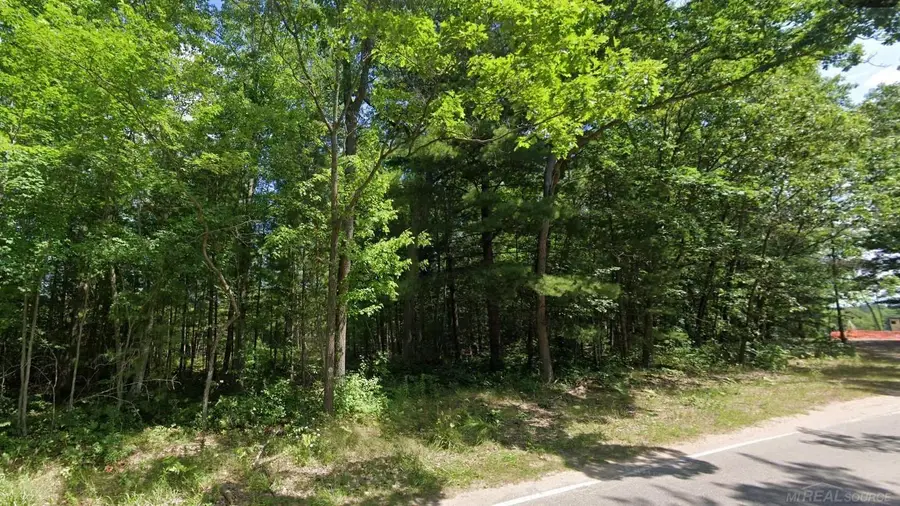 8656 N Blair, Bitely, MI 49309 - #2