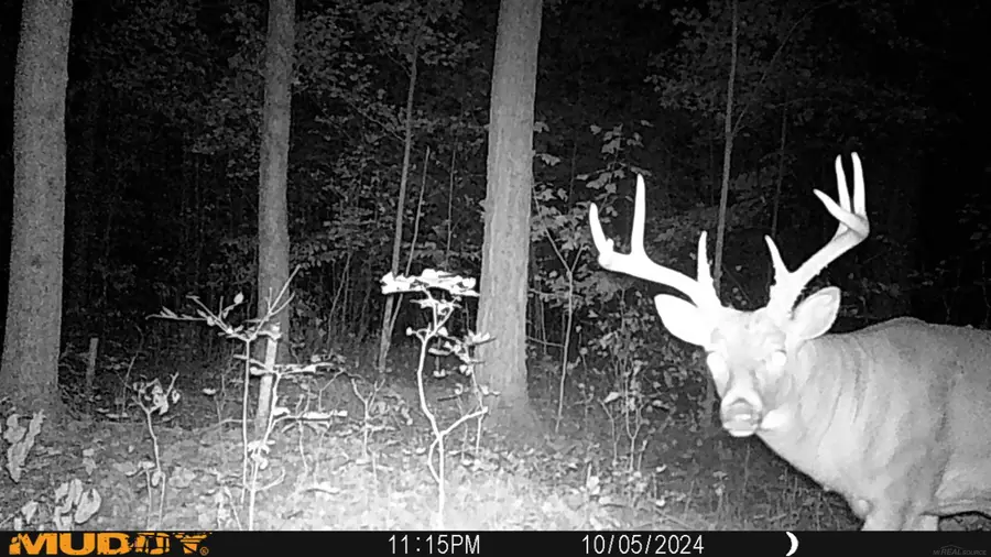 4011 Sandall, Alpena, MI 49707 - #3