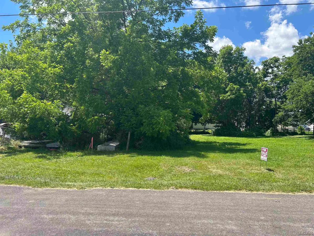 710 Parkwood, Blissfield, MI 49228 - #1