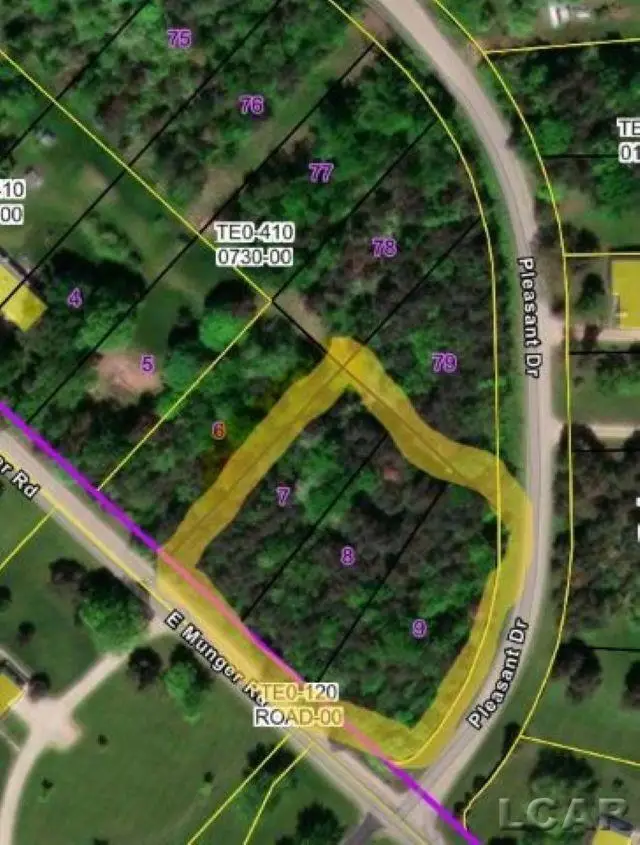 100 BLK Pleasant, Tecumseh, MI 49286 - Image #2