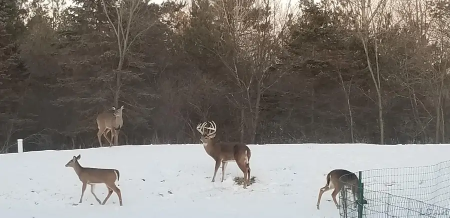 100 BLK Pleasant, Tecumseh, MI 49286 - Image #3