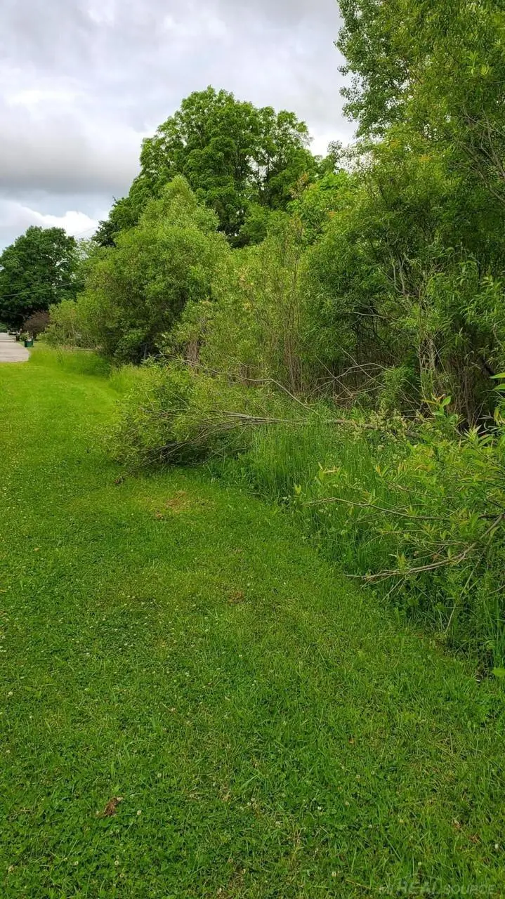 249 Maple, Cedar Springs, MI 49319 - #1