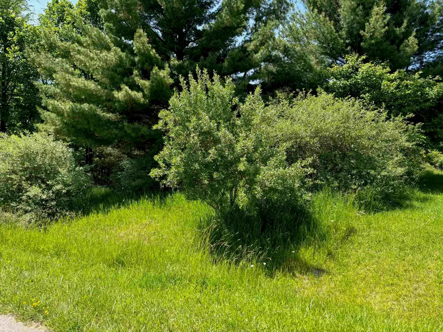 Lot 158 Wellington, Gladwin, MI 48624 - Image #3