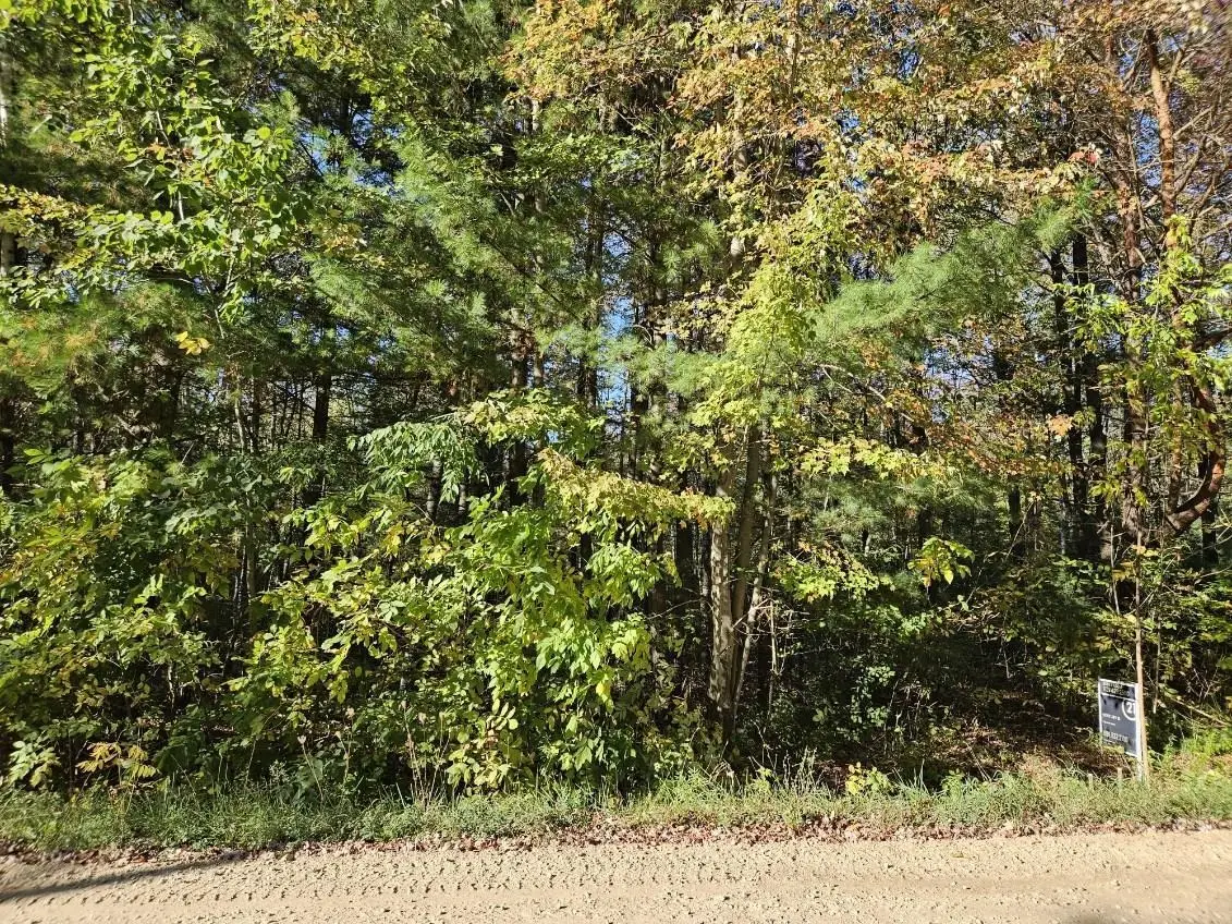 1090 Frank, Beaverton, MI 48612 - #1