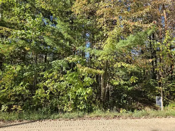 1090 Frank, Beaverton, MI 48612