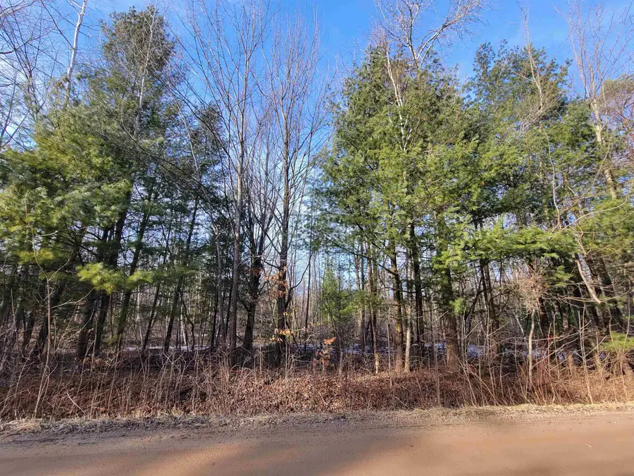 1090 Frank, Beaverton, MI 48612 - #3