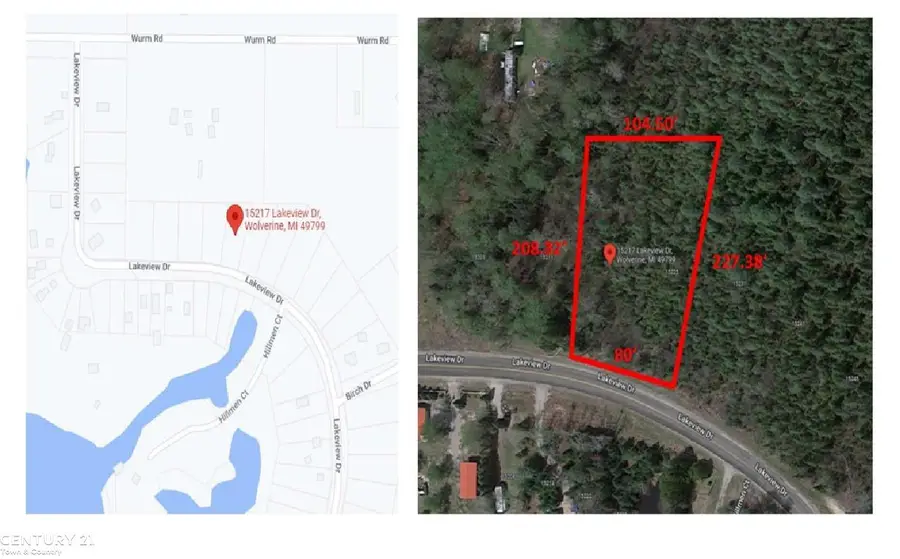 15217 Lakeview, Nunda Township, MI 49799 - Image #2