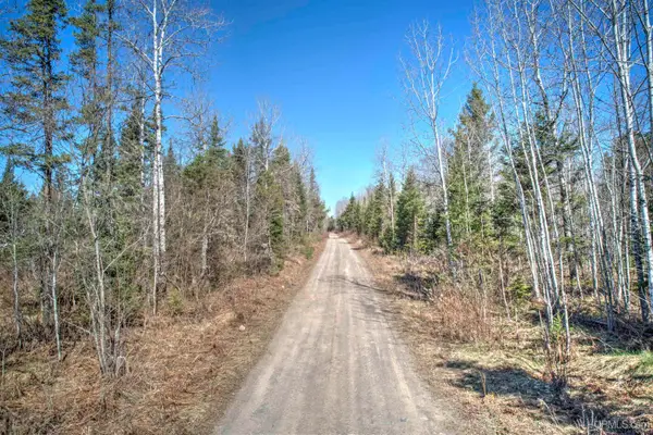 TBD Wests, Crystal Falls, MI 49920