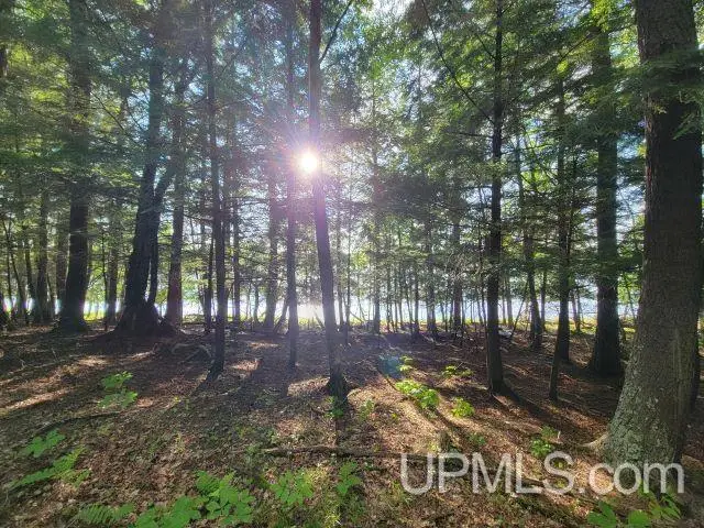 Lot G Wildwood, Iron River, MI 49935 - Image #2