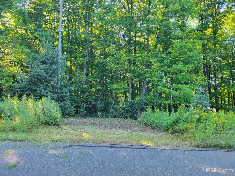 Lot G Wildwood, Iron River, MI 49935 - Image #3