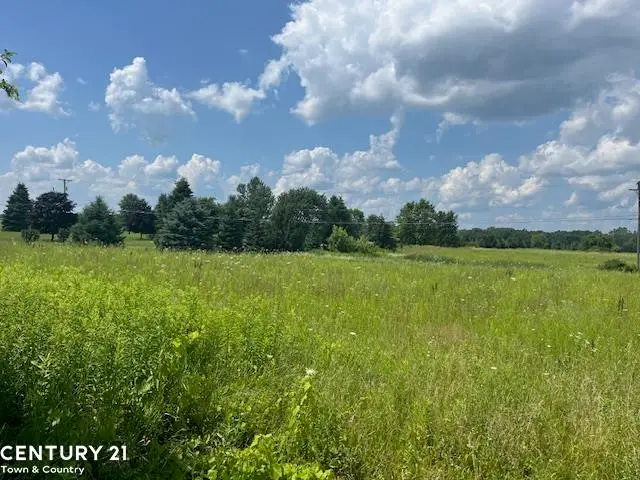 6839 Dryden, Almont, MI 48003 - Image #2