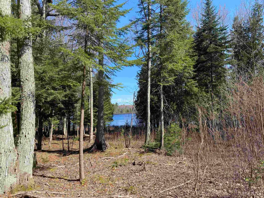 TBD Lot 23 Keweenaw, Lake Linden, MI 49945 - Image #2