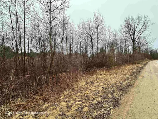 4019 Bay, Beaverton, MI 48612