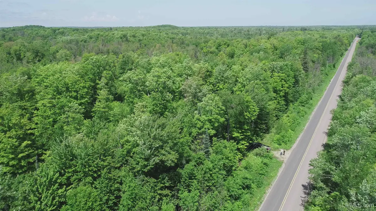 40 Acres Maple Grove, Skandia, MI 49885 - Image #1