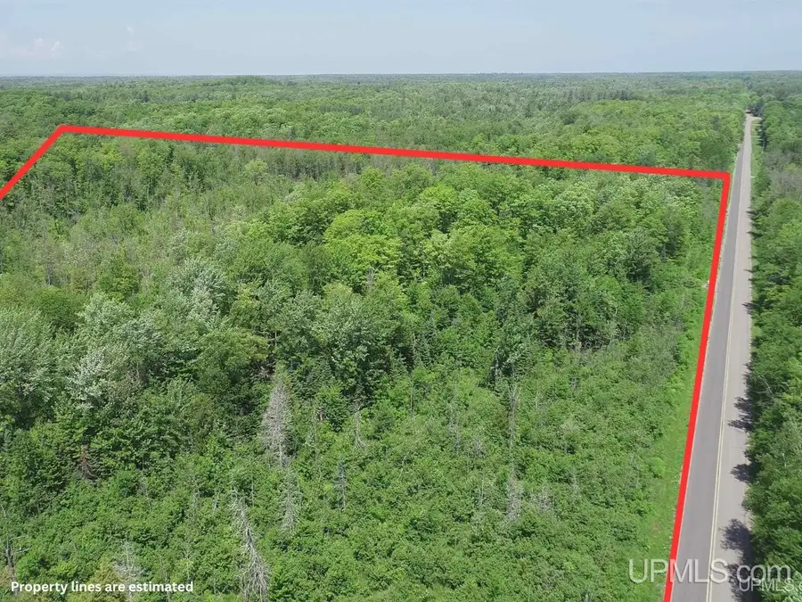 40 Acres Maple Grove, Skandia, MI 49885 - Image #3