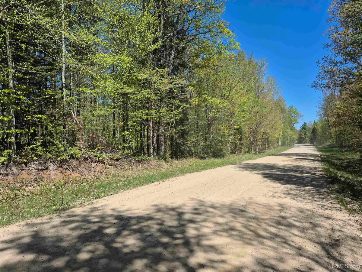 North 10 Acres Perch Lake, Christmas, MI 49862 - Image #1