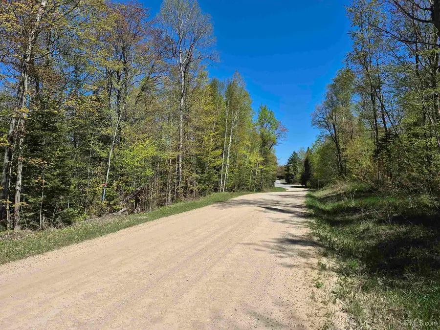 North 10 Acres Perch Lake, Christmas, MI 49862 - Image #2