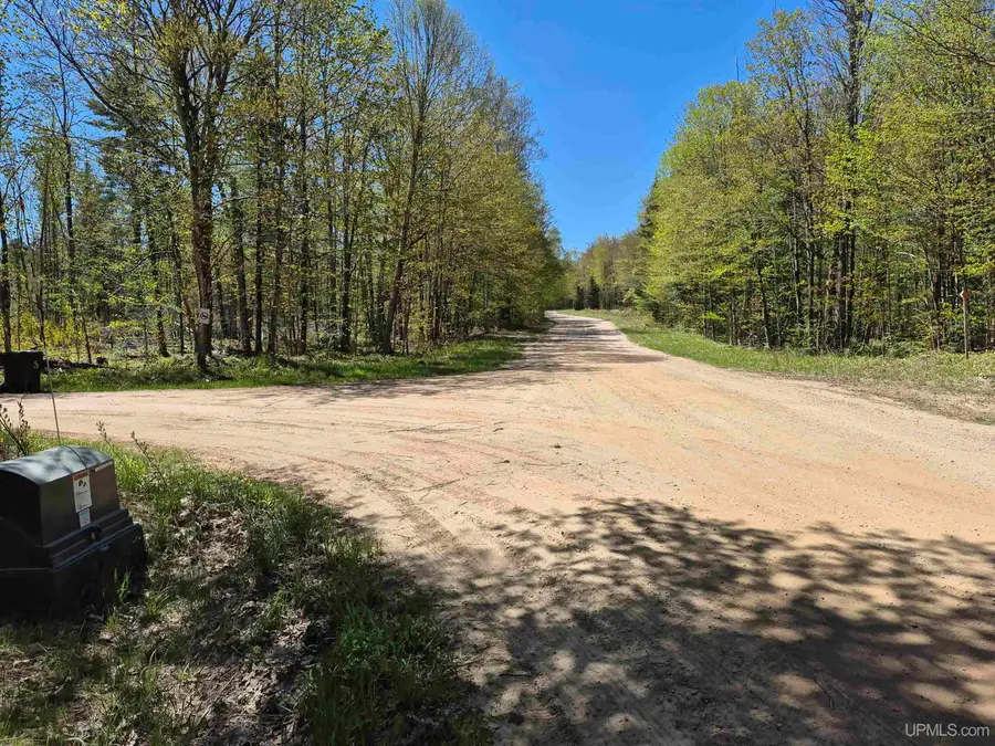 North 10 Acres Perch Lake, Christmas, MI 49862 - Image #3