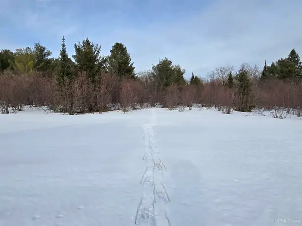 TBD M 38, Greenland, MI 49929