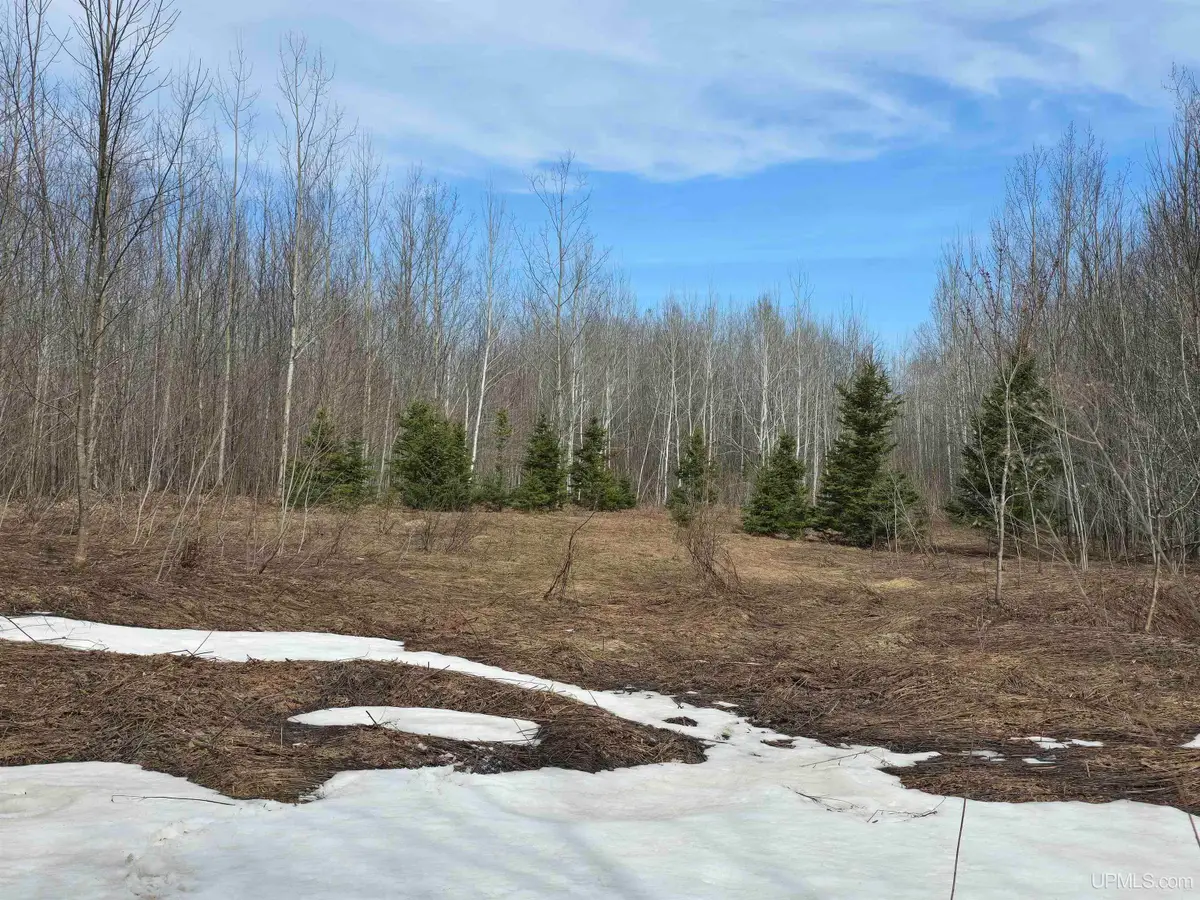 TBD Woodspur, Ontonagon, MI 49953 - Image #1
