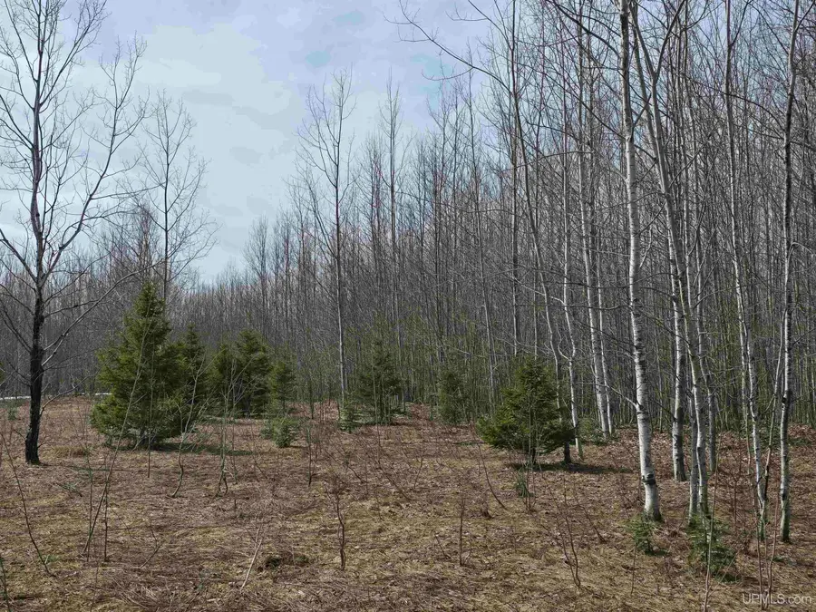 TBD Woodspur, Ontonagon, MI 49953 - Image #2