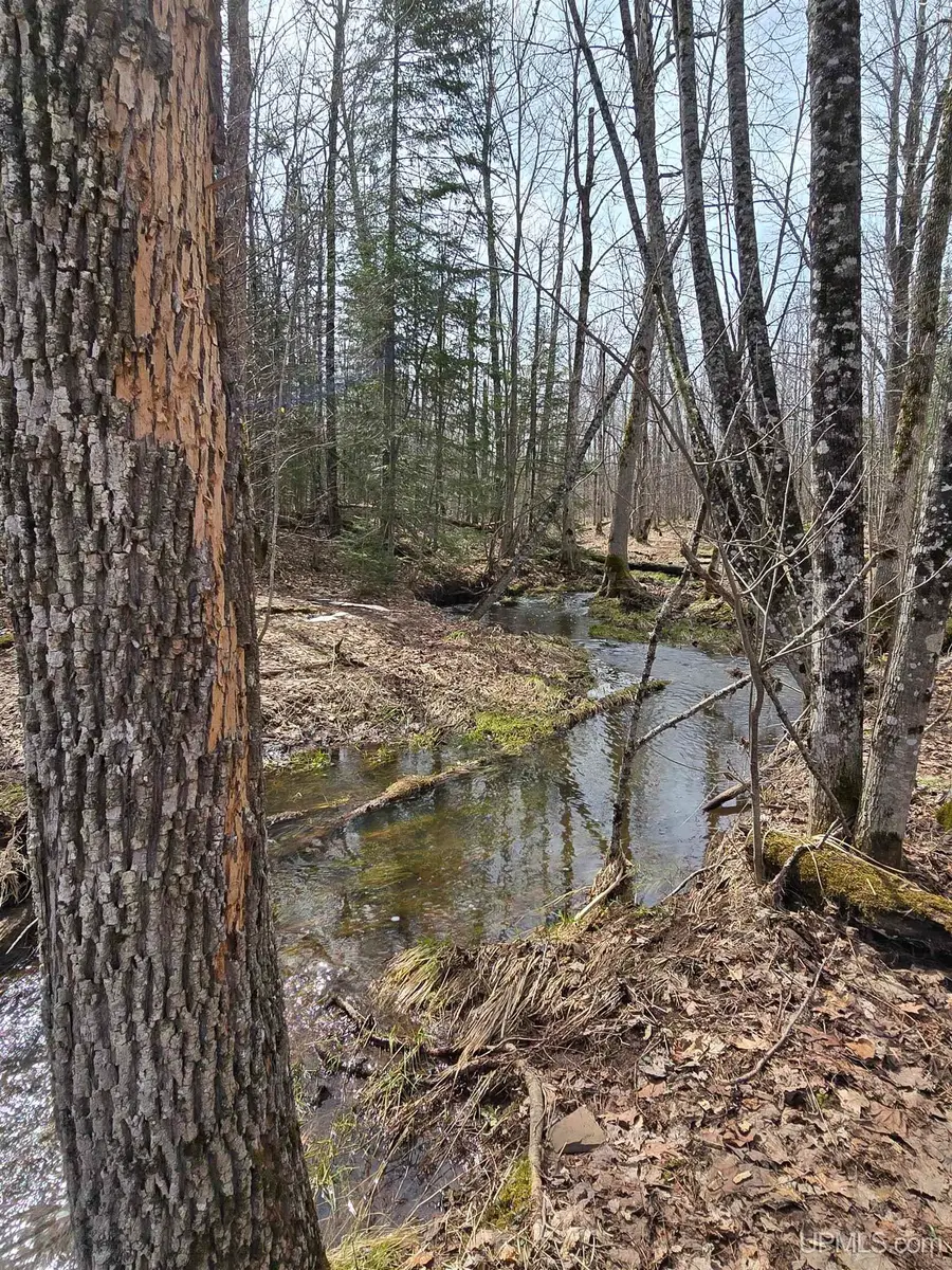 TBD Woodspur, Ontonagon, MI 49953 - Image #3