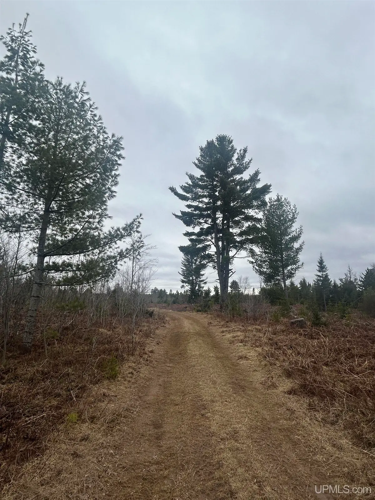 Parcel 4 Off Johnson Lake, Gwinn, MI 49841 - Image #1