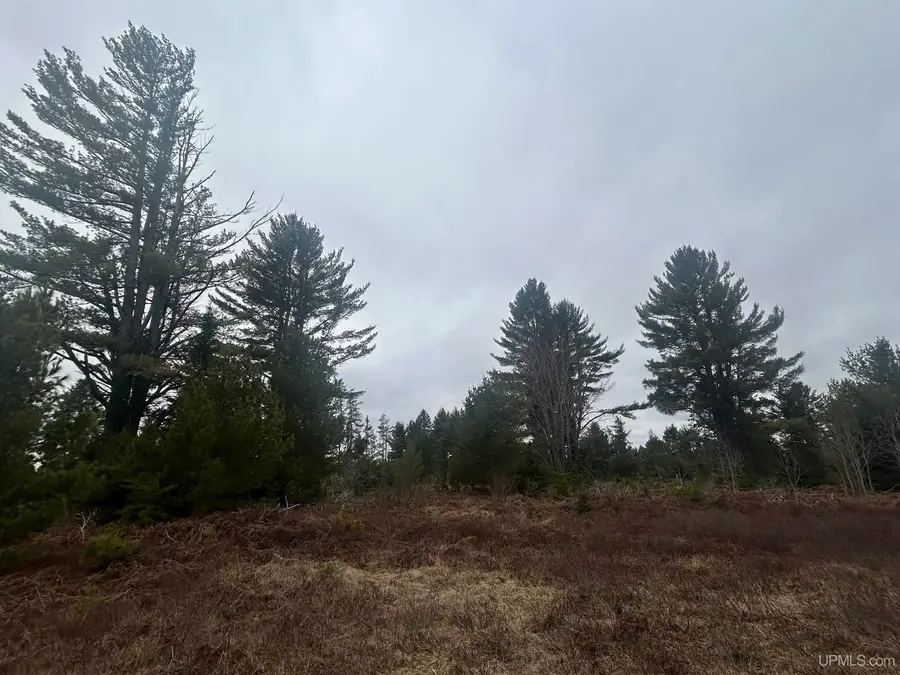 Parcel 4 Off Johnson Lake, Gwinn, MI 49841 - Image #3