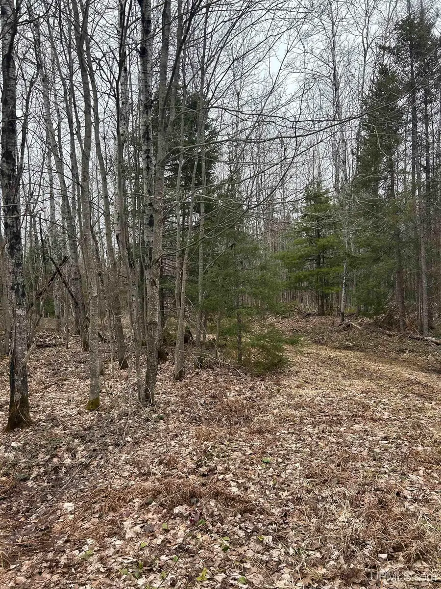 Parcel 7 Off Johnson Lake, Gwinn, MI 49841 - Image #2