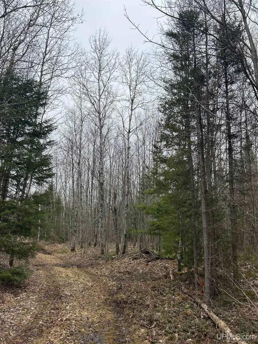 Parcel 7 Off Johnson Lake, Gwinn, MI 49841 - Image #3