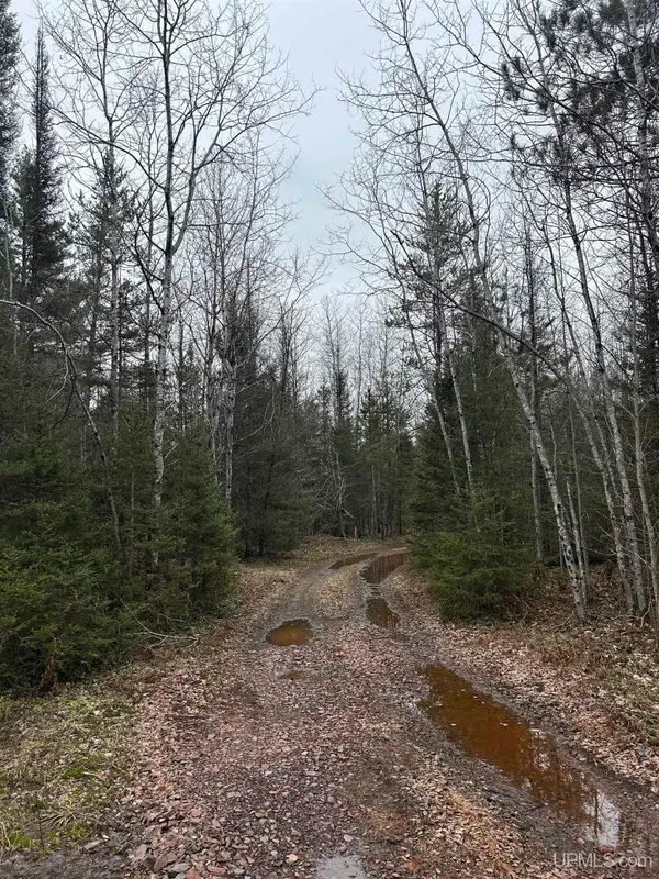 Parcel 6 Off Johnson Lake, Gwinn, MI 49841