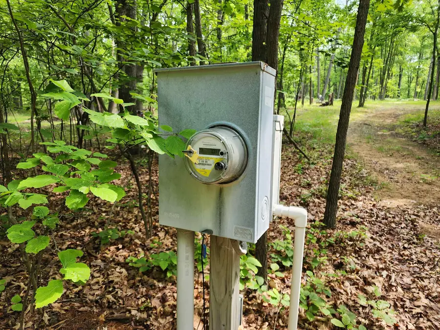 Lot 1340 Pine Run, Farwell, MI 48622 - Image #2