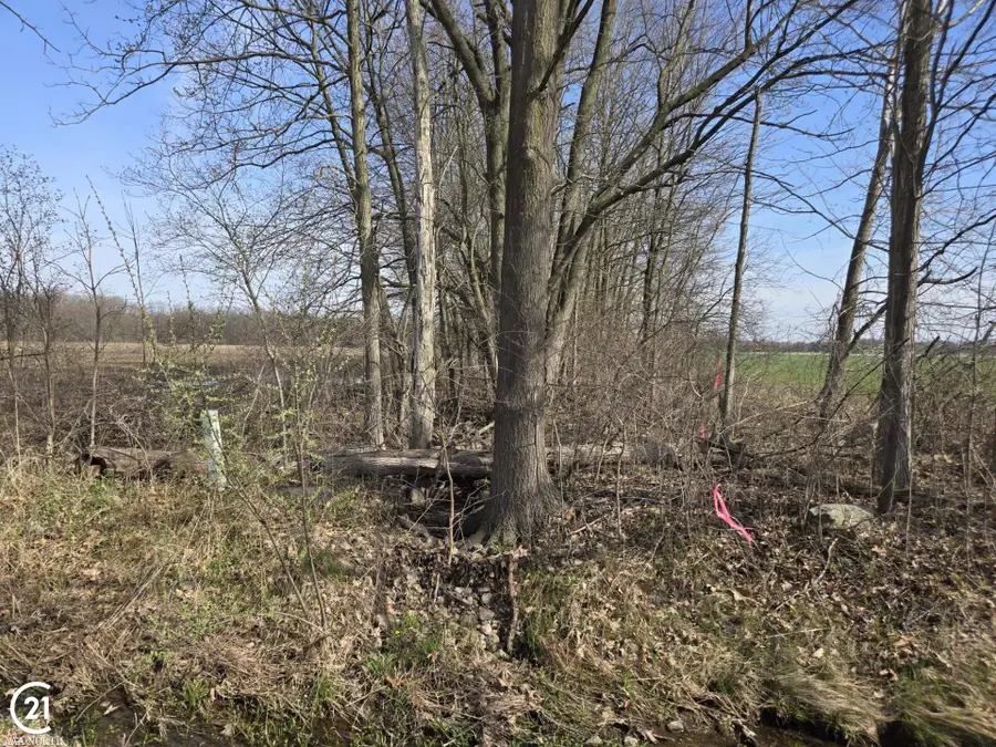 0 Meskill (lot C), Columbus Township, MI 48063 - Image #3