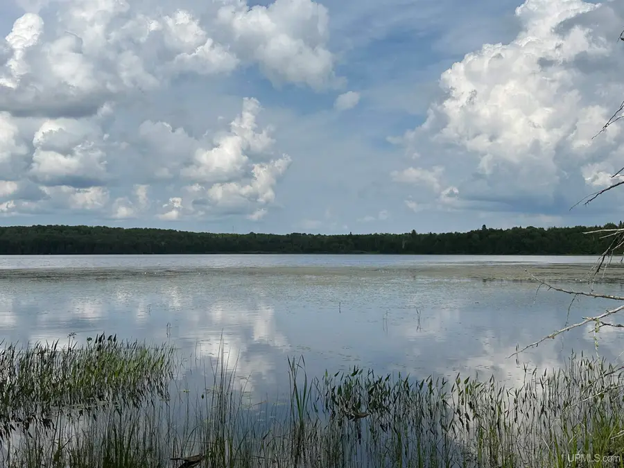 Off Forest 8300, Marenisco, MI 49947 - Image #3