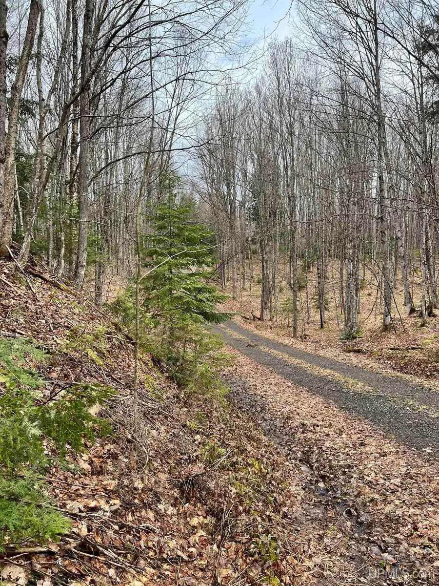 127 Light Blue, Nisula, MI 49952 - Image #2