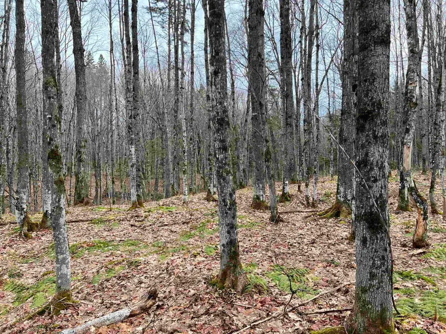 127 Light Blue, Nisula, MI 49952 - Image #3