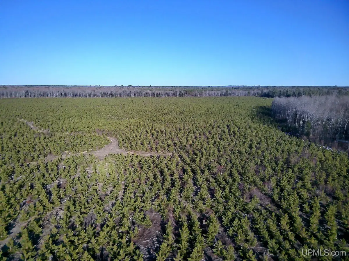 TBD Parcel 3 16 Mile Lake, Au Train, MI 49806 - Image #1